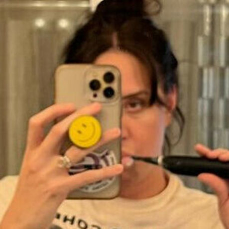 Brittany Rose Bush étoile chaude collection