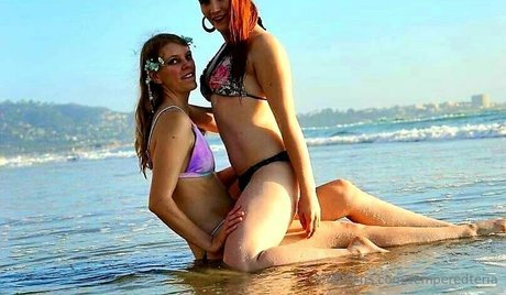 temperedteria modèle chaud img