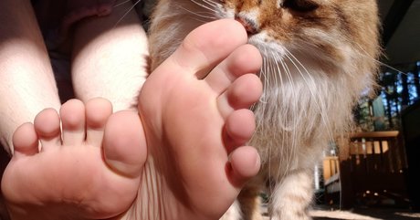 softcorekittyx actrice érotique image