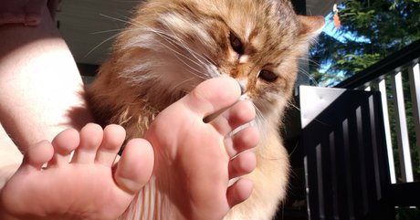 softcorekittyx étoile exclusive des photos