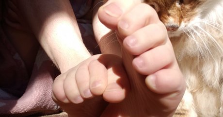 softcorekittyx star exclusive image