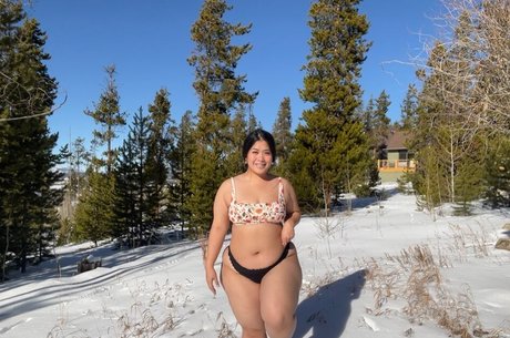 BellaBun Bo Bae belle étoile des photos