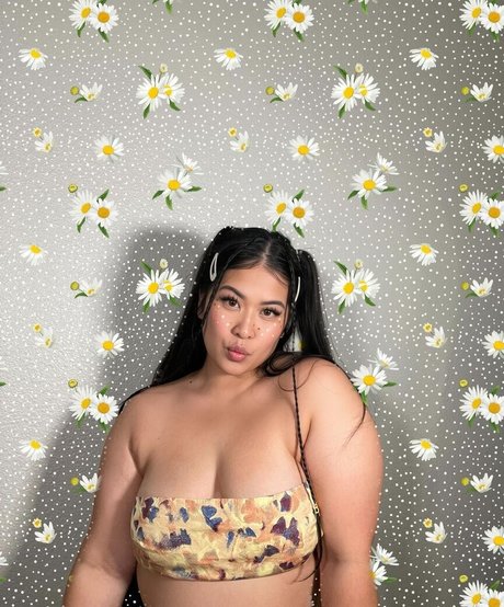 BellaBun Bo Bae étoile parfaite photos