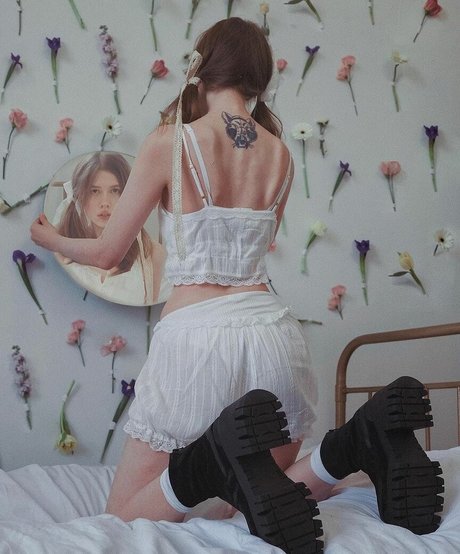 Tero modèle parfait images