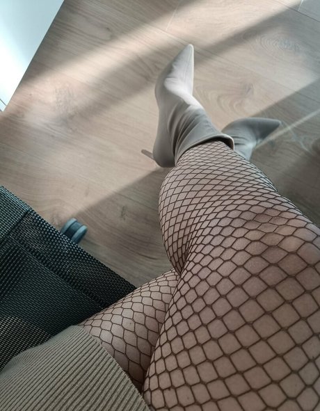 fullibologna3t modèle artistique galeries