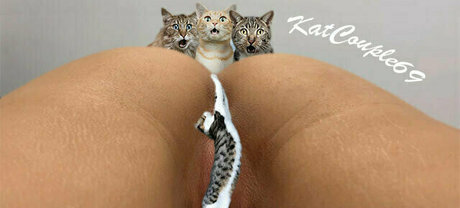 katcouple69 actrice adulte collection