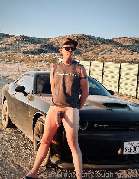 rough ginger étoile magnifique archive