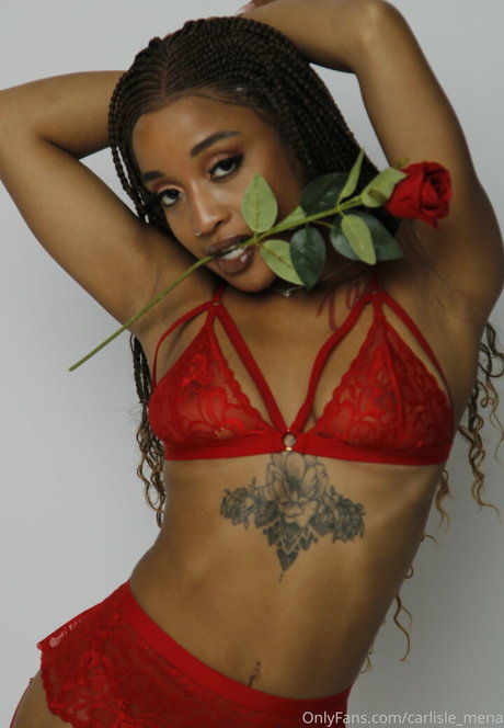 imenacarlisle nus étoiles galerie