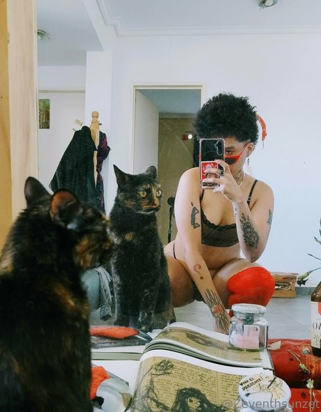 zeventhsunzet star du porno érotique photos