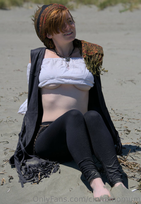 cinnamomum modèle hd collection