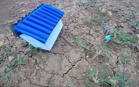 mariée onlyfans chaud gratuit photo