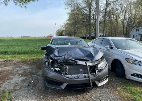 reaghanblackhart sexe star image