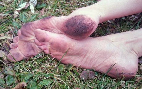 scentofasilkytoe belle actrice img