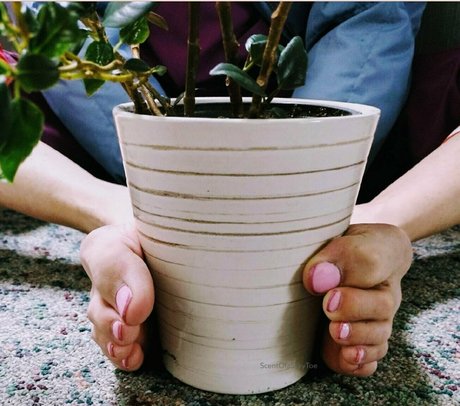 scentofasilkytoe actrice pornographique photo