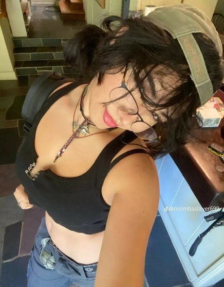 Roombaslayer69 étoile galeries