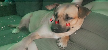 fans de sperme uniquement exclusif xxx galeries