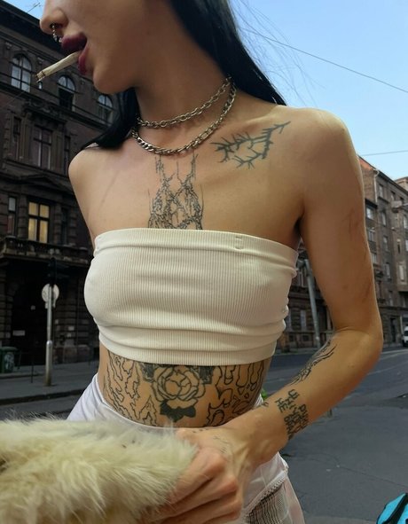 mariarutman étoile de haute qualité collection