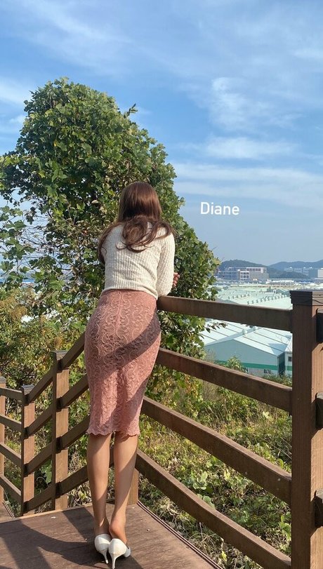 d mingey étoile de l'art archive