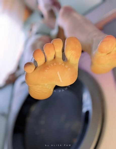 Alisa Paws modèle chaud des photos