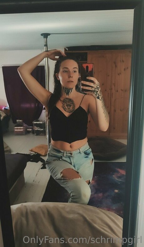 schrimpgirl art de star du porno image