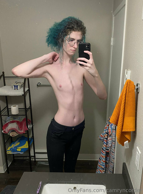 camryncorder art de star du porno archive