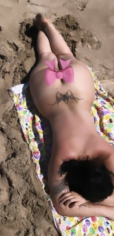 Paulaisrotting modèle images