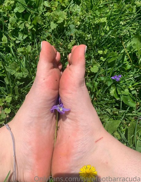 fans de classe uniquement belle exclusivité galeries