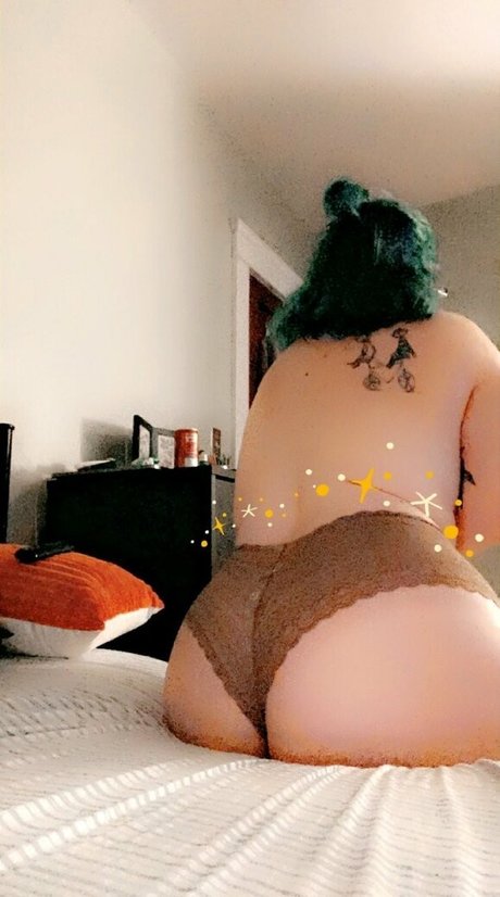 chaton potelé uniquementfans magnifique parfait photos