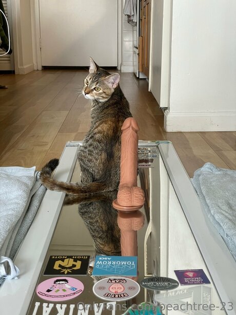 ppv uniquement pour les fans xxx nu archive