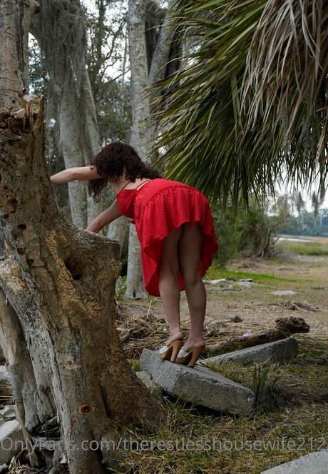 therestlesshousewife2121 art de star du porno photo