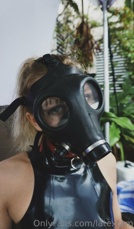 latextam modèle hd img