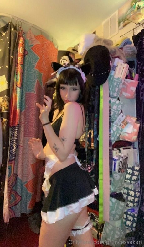 pr1ncessakari star du porno de haute qualité image