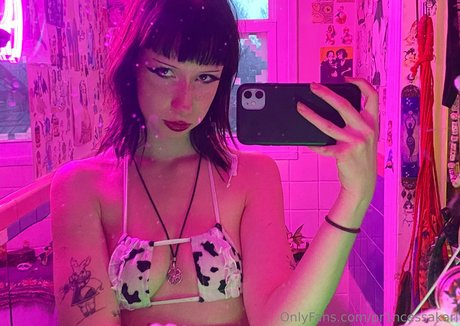 pr1ncessakari haut modèle image