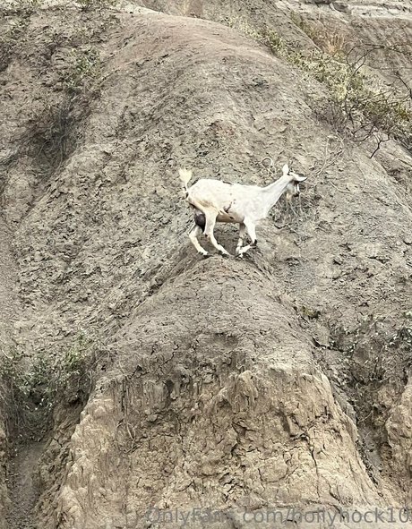 jeunes amateurs onlyfans parfait sympa galerie