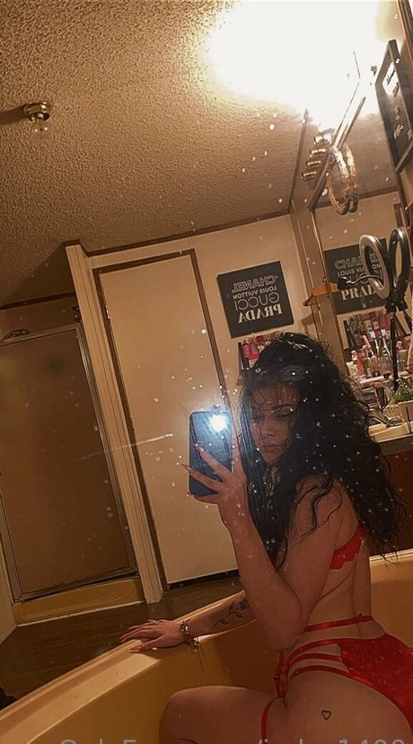 lotti 1400 modèle meilleur photo