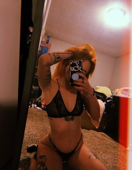 Indoor wilding étoile adulte photo