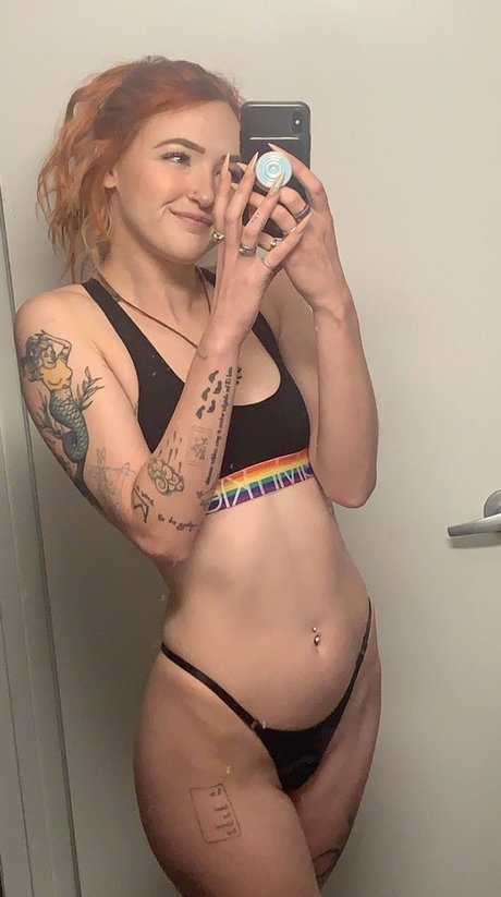 Indoor wilding belle étoile galerie