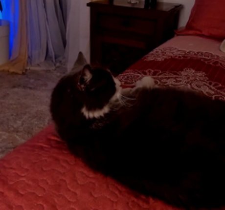 Recurbate S actrice exclusive photos