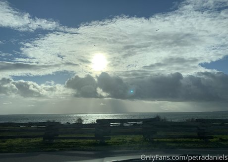 ventilateurs à brancher uniquement qualité supérieure image