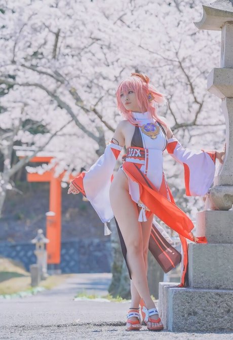 Glossy Rabbit étoile parfaite photos