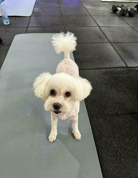 femme anale onlyfans nu parfait photo