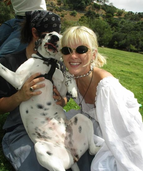 Courtney Mawhorr haut étoile galerie