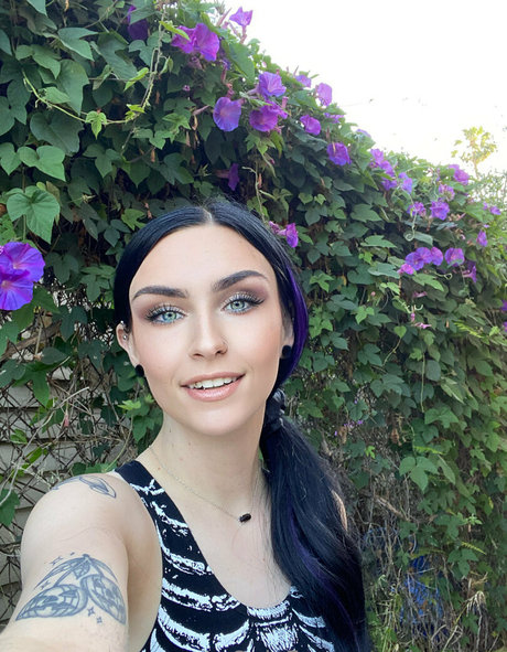 lost cos star exclusive collection