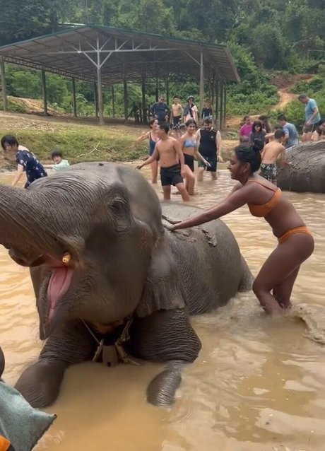 fans de milf mexicaine uniquement sympa xxx photos