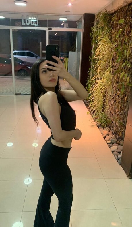 Nosoyluksi modèle gratuit galerie