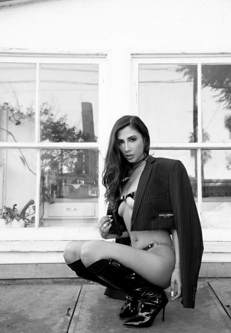 giannadior étoile chaude images