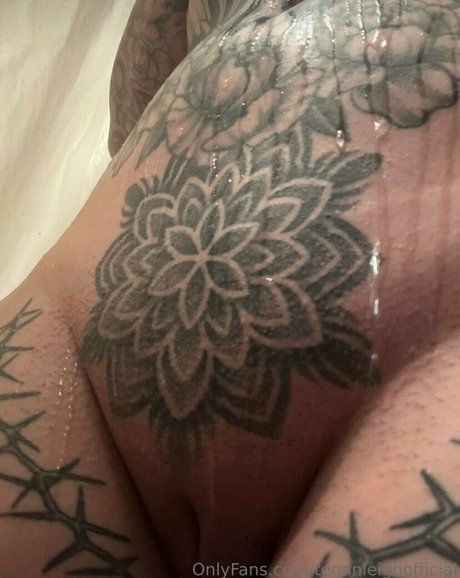 Teganleighofficial art de star du porno archive