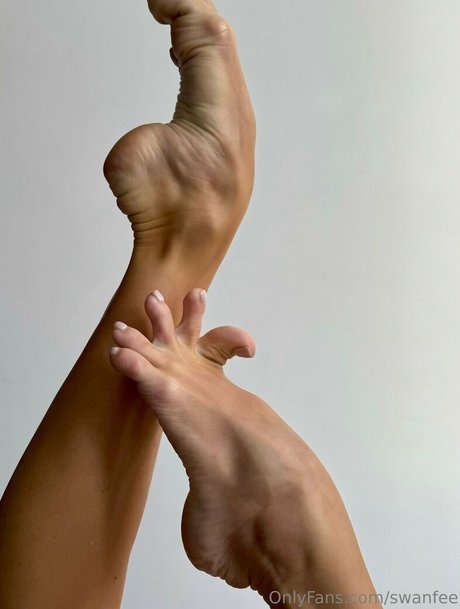 swanfee art de star du porno galeries