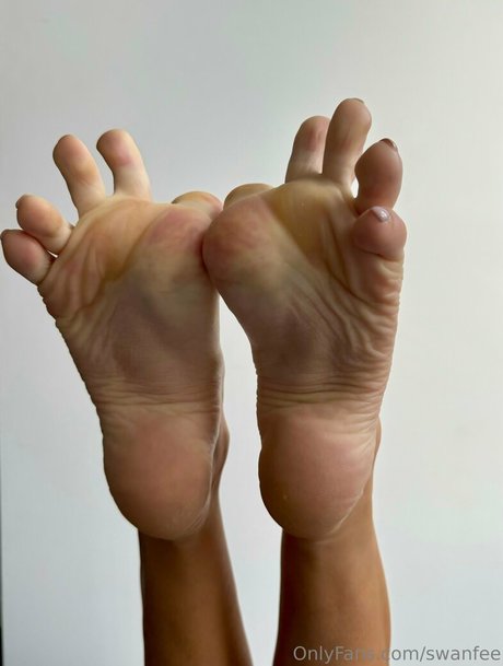 swanfee modèle adulte galeries