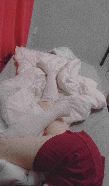 Danny Universe modèle collection